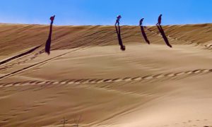 A Balanced Life - hiking the dunes in Namibia
