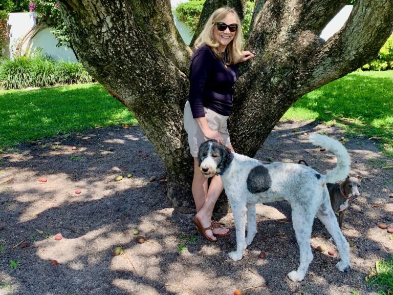 Dog Days Of Summer In Florida - Distinctly Southern Style