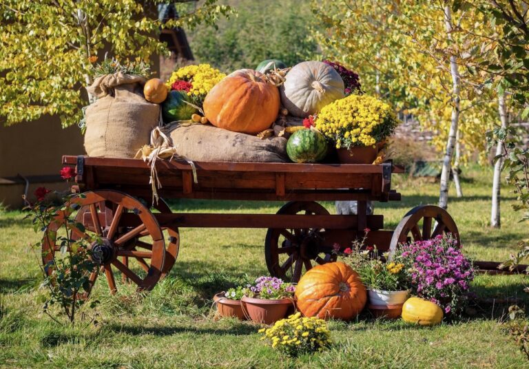 A wooden wagon full of harvest pumpkins.