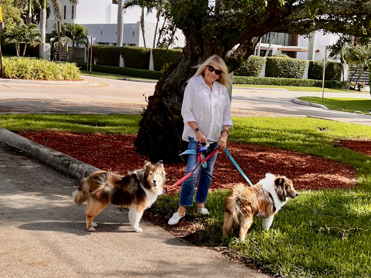 Woman and two dogs out for a walk.