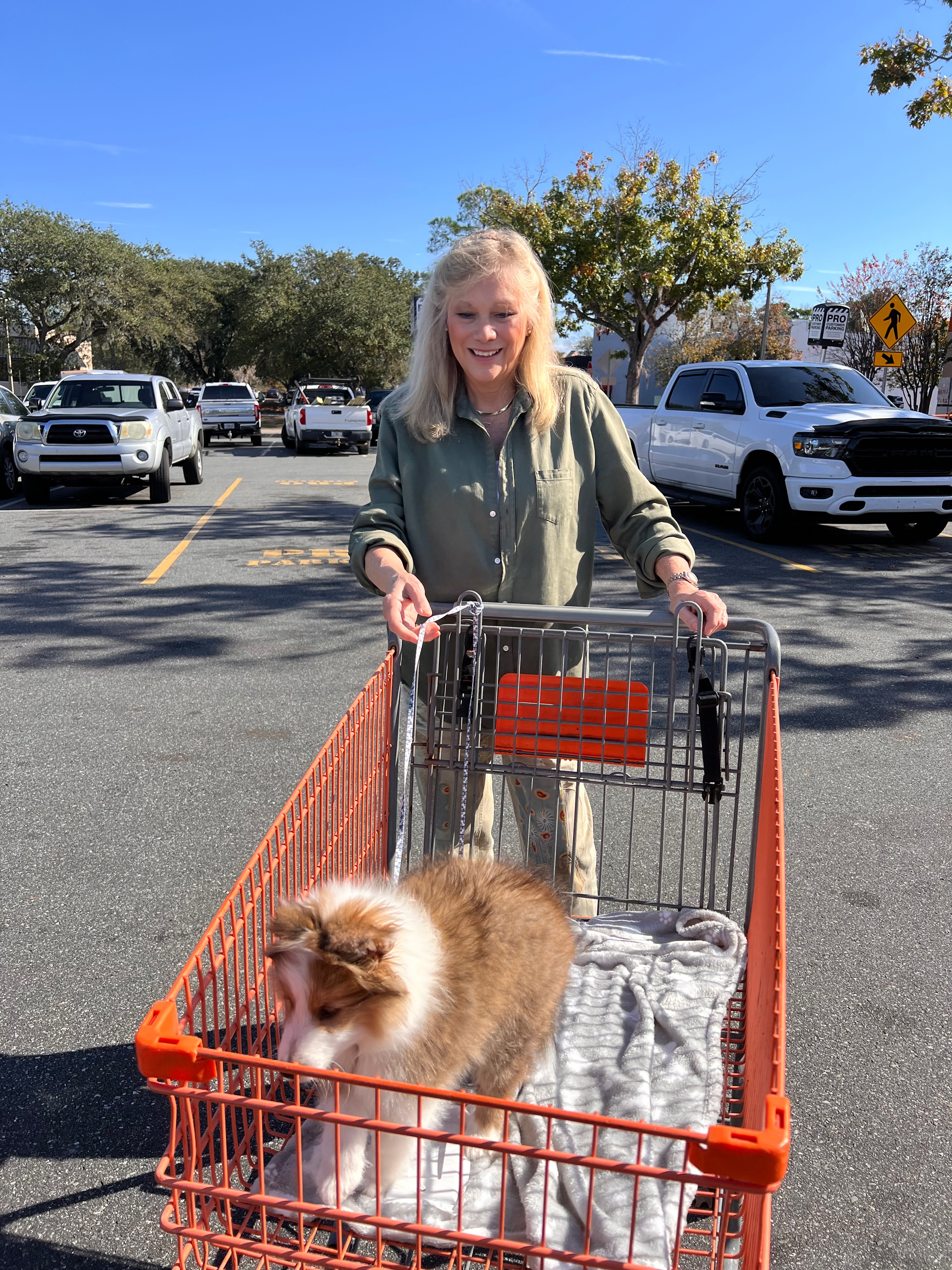 A woman with a Sheltie puppy in a shopping cart at Home Depot